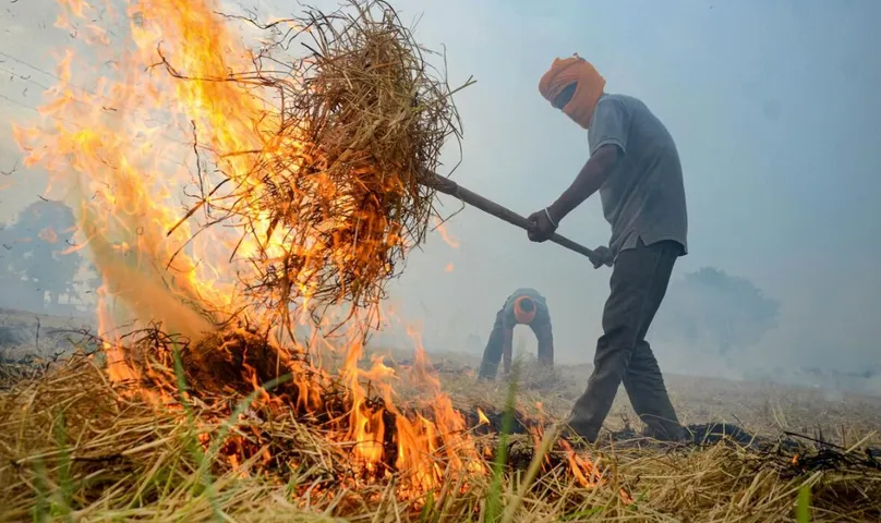 Burning Stubble