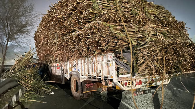 खन्ना में दर्दनाक हादसा: रस्सा टूटने से ओवरलोड ट्राली पलटी, दो की मौत